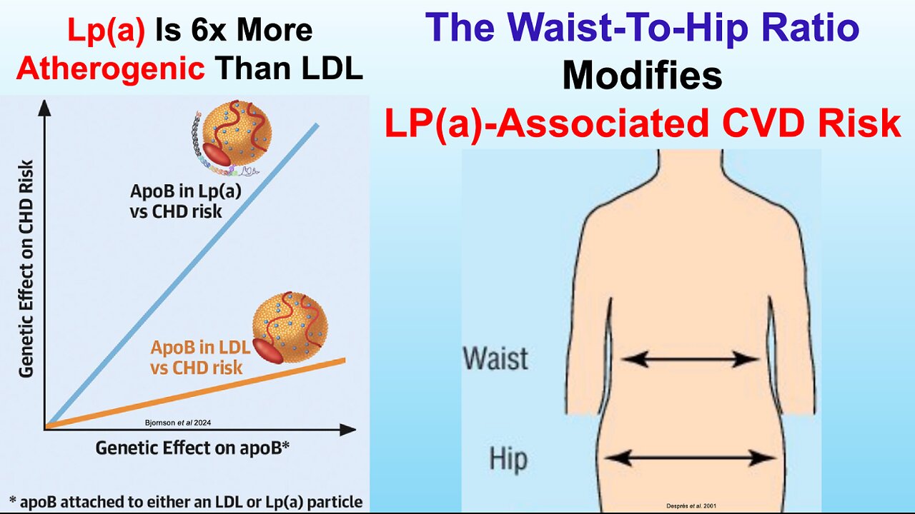 The Waist-To-Hip RatioModifies LP(a)-Associated CVD Risk