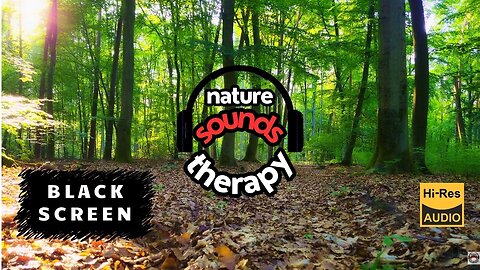 Relaxing Forest Music; Spring Bird Song ¦ ASMR, White Noise BLACK SCREEN