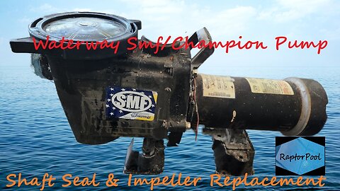 Waterway SMF/Champion Pool Pump Shaft Seal & Impeller