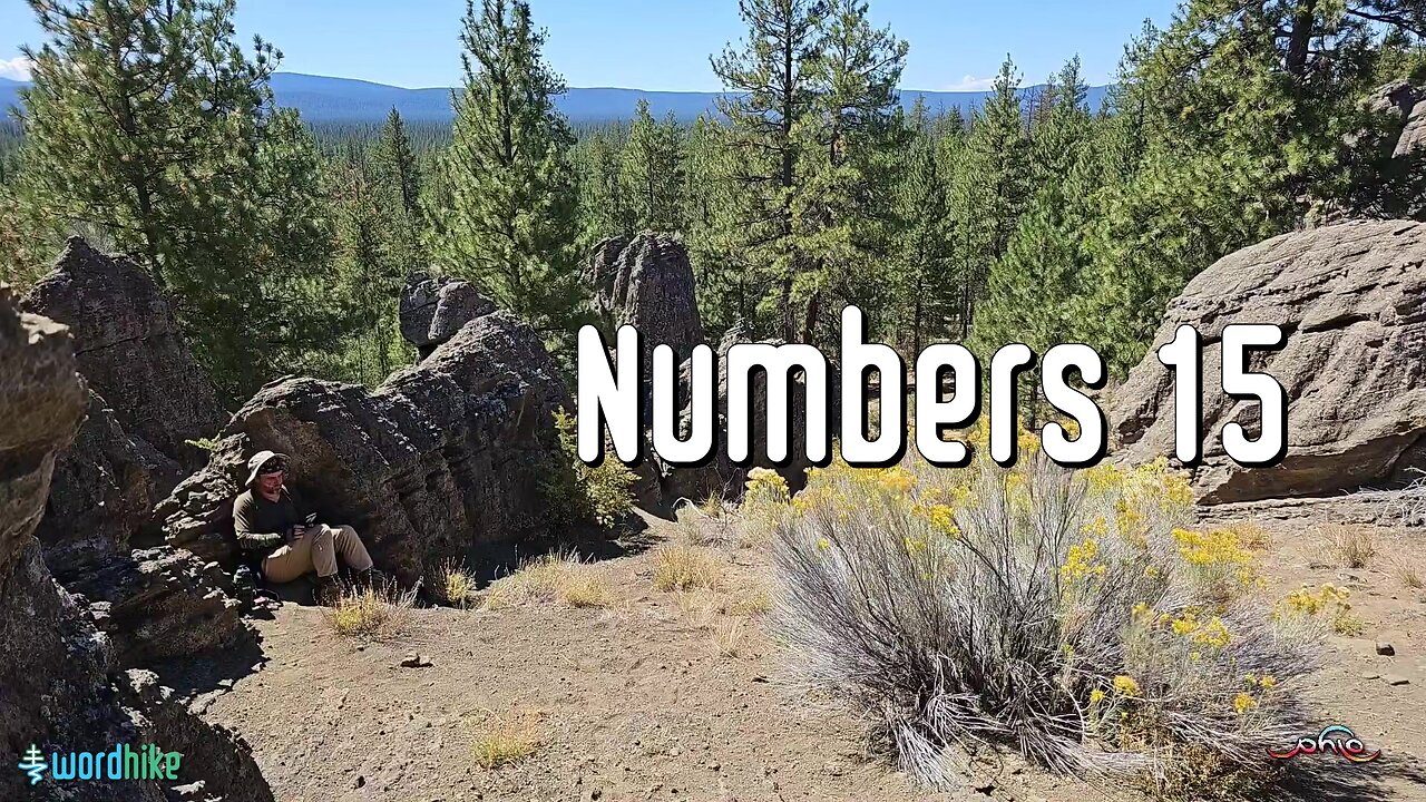 Numbers 15, Bible Reading in Nature, BSB