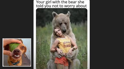 Memes That Will 99.0156% Make You Laugh. (e380)