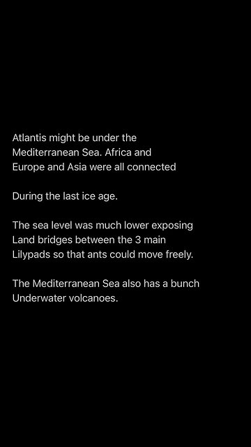 Ants vs 3 states of water