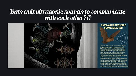 Fun Fact for June 28th 2025 Pt 2