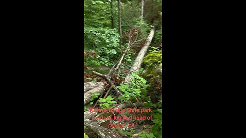 Hiking to Natural Arch Bridge! Check out log Bridge & Dragon Head AWEsome!