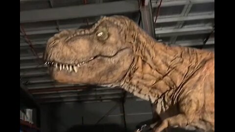 Robot Trex on Facebook