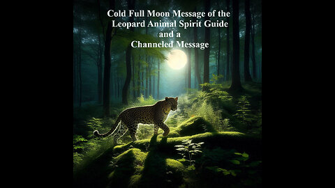 Leopard Energy Significance, Cold Full Moon Message and a Channeled Message