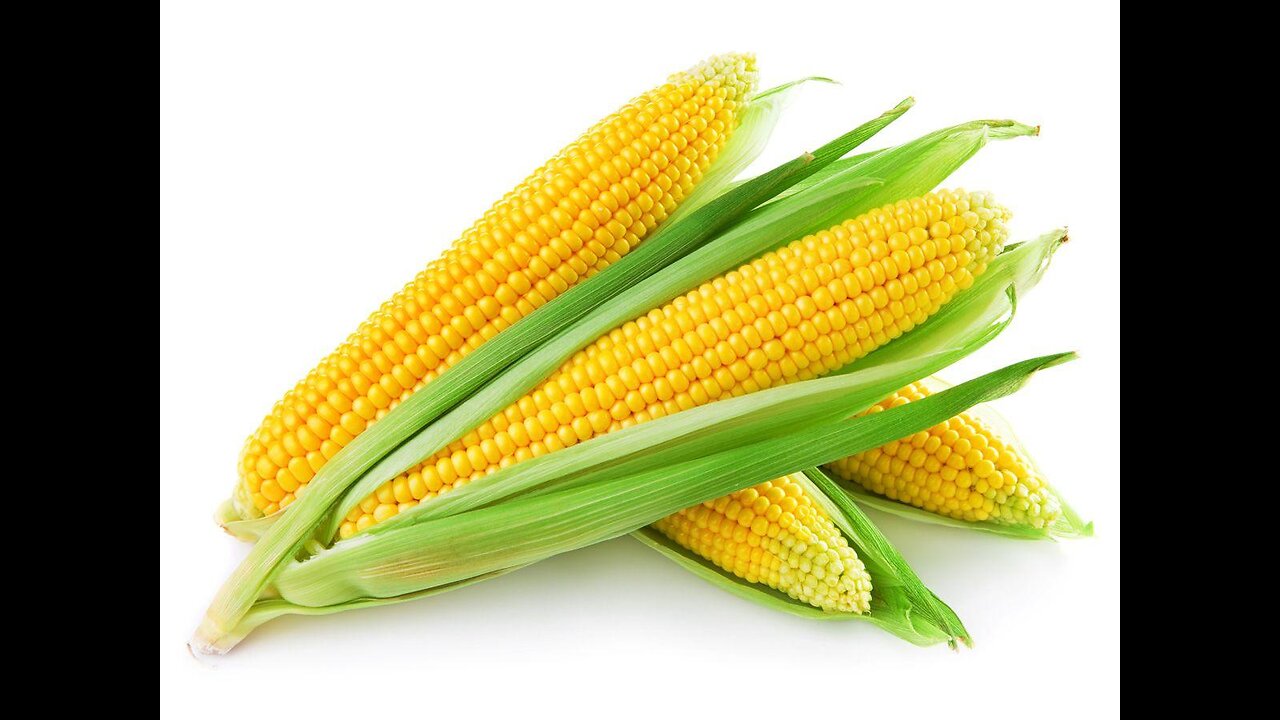 Interesting (Free Corn Report)