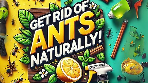 8 Natural Ways to Get Rid of Ants for a Pest-Free Home (No Chemicals!)