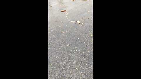 Neighborhood damage from tornado