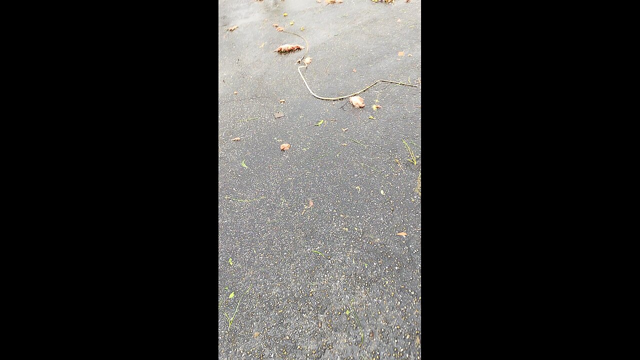 Neighborhood damage from tornado