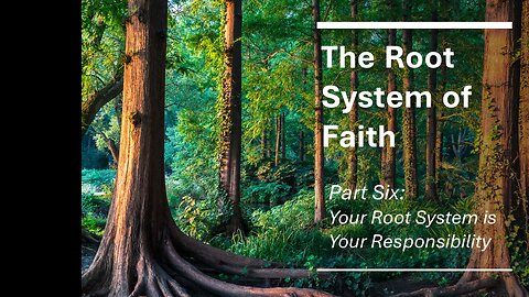 The Root System of Faith Part 6, YOUR Root System is Important