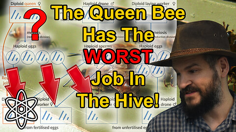 What About Honeybee Biology? |⚛