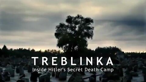 "Uncovering the Truth: Treblinka as a Transit or Extermination Camp during the Holocaust"