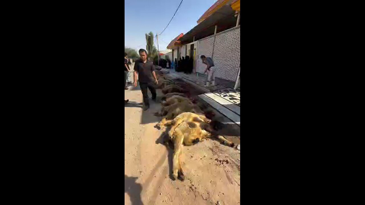 😍😍🇮🇷