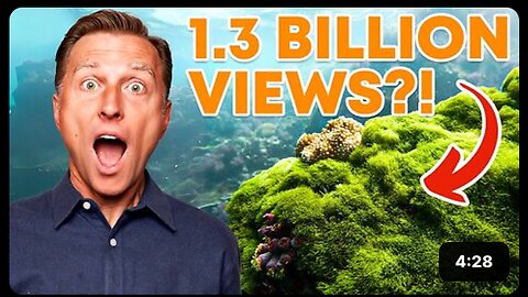 Why Sea Moss Is Going VIRAL!