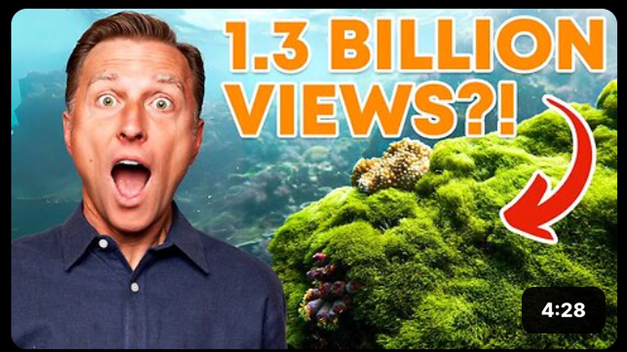 Why Sea Moss Is Going VIRAL!