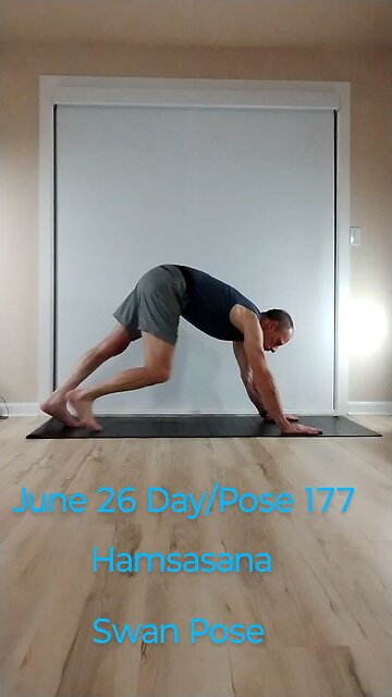 Hamsasana / Swan Pose