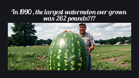 Fun Fact for May 8th 2025 Pt 2