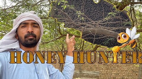 Honey Hunting in Pakistan: Exploring A Dangerous World