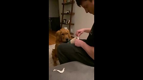 Those puppy eyes😓