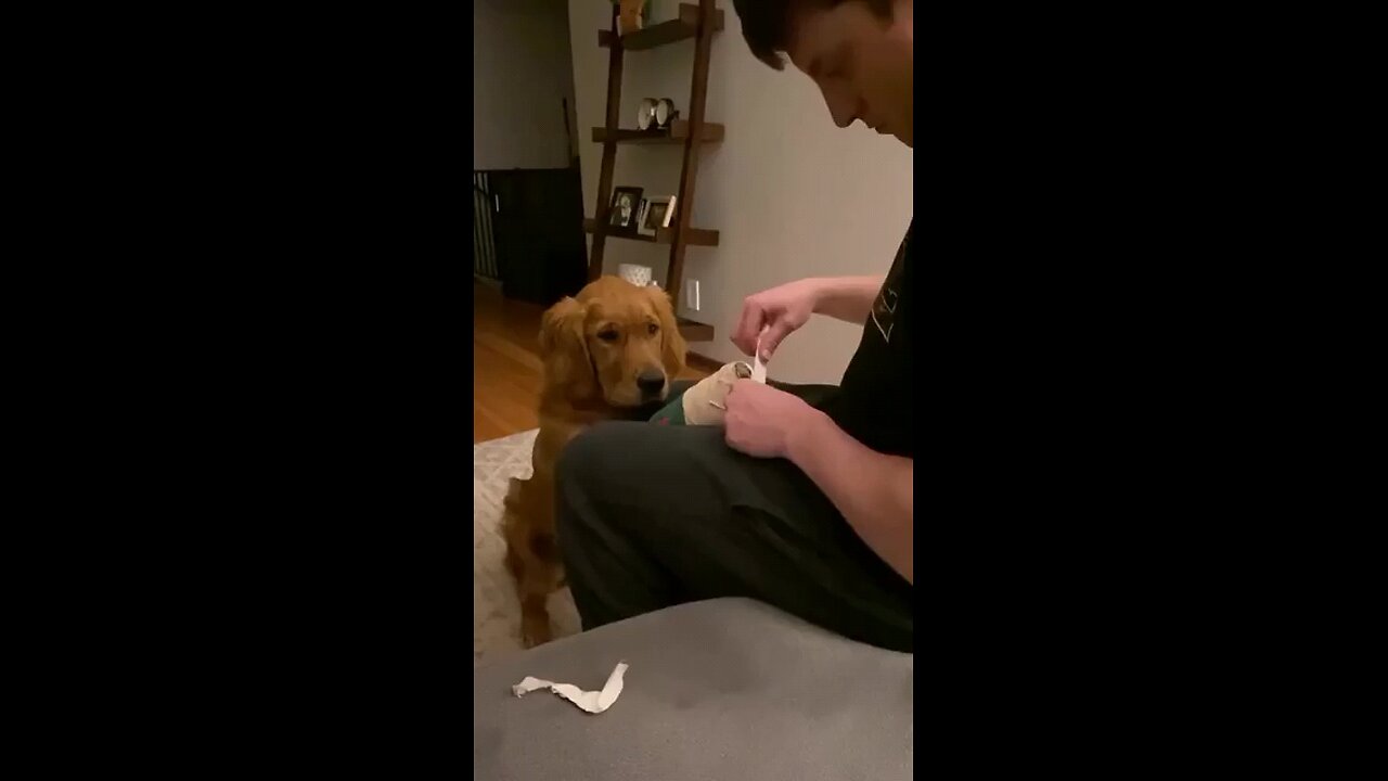 Those puppy eyes😓