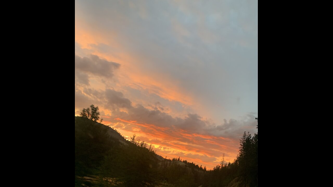 The Purpose and Progress of Salvation