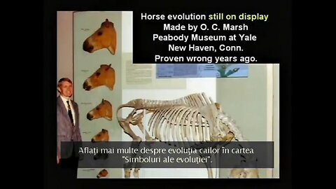 Dr Hovind Sem4 — "Minciunile din Manuale" — RO Română