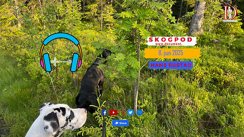 Skogpod 8. juni 2025