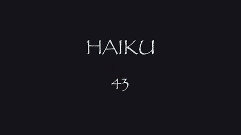 HAIKU 43