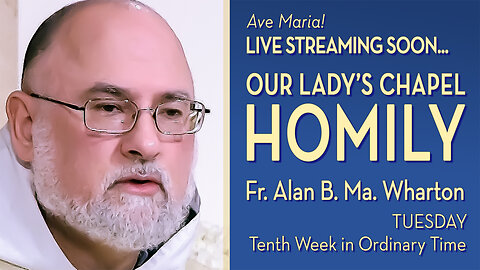 Tuesday of the Tenth Week in Ordinary Time - June 10, 2025 - OLC HOMILY