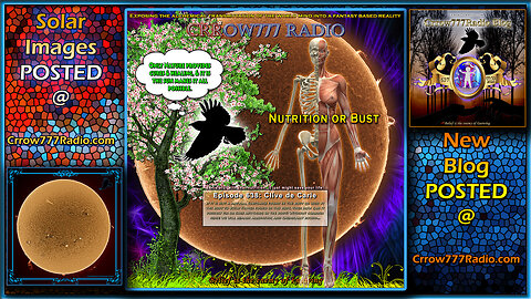 Why You’re Still Sick - Escape the Medical Trap and Reclaim Healing