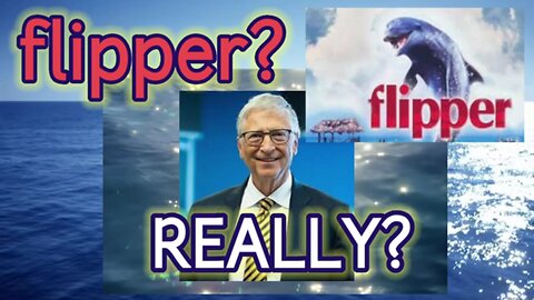 So, you've "DECIDED" A GAIN! +Mamdani~Fuentes~Candace~Tucker~Erika Kirk~SNAP~Trump~LIES