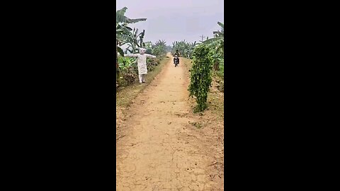 Let me pass