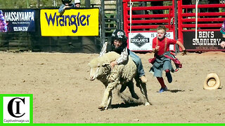 Mutton Bustin' - Legends of the West Rodeo | Sunday 2025