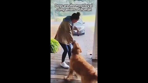 dog Save Her lady owner