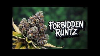 🎭 FORBIDDEN RUNTZ HIT ME STRAIGHT TO THE HEAD 😮‍💨 | JK DISTRO INDICA VIBES
