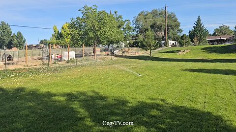 Graham Family Farm NW: 8:50 AM July 6 2025