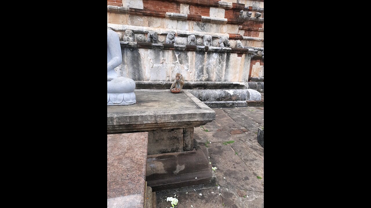 ANURADHAPURAYA-SRILANKA