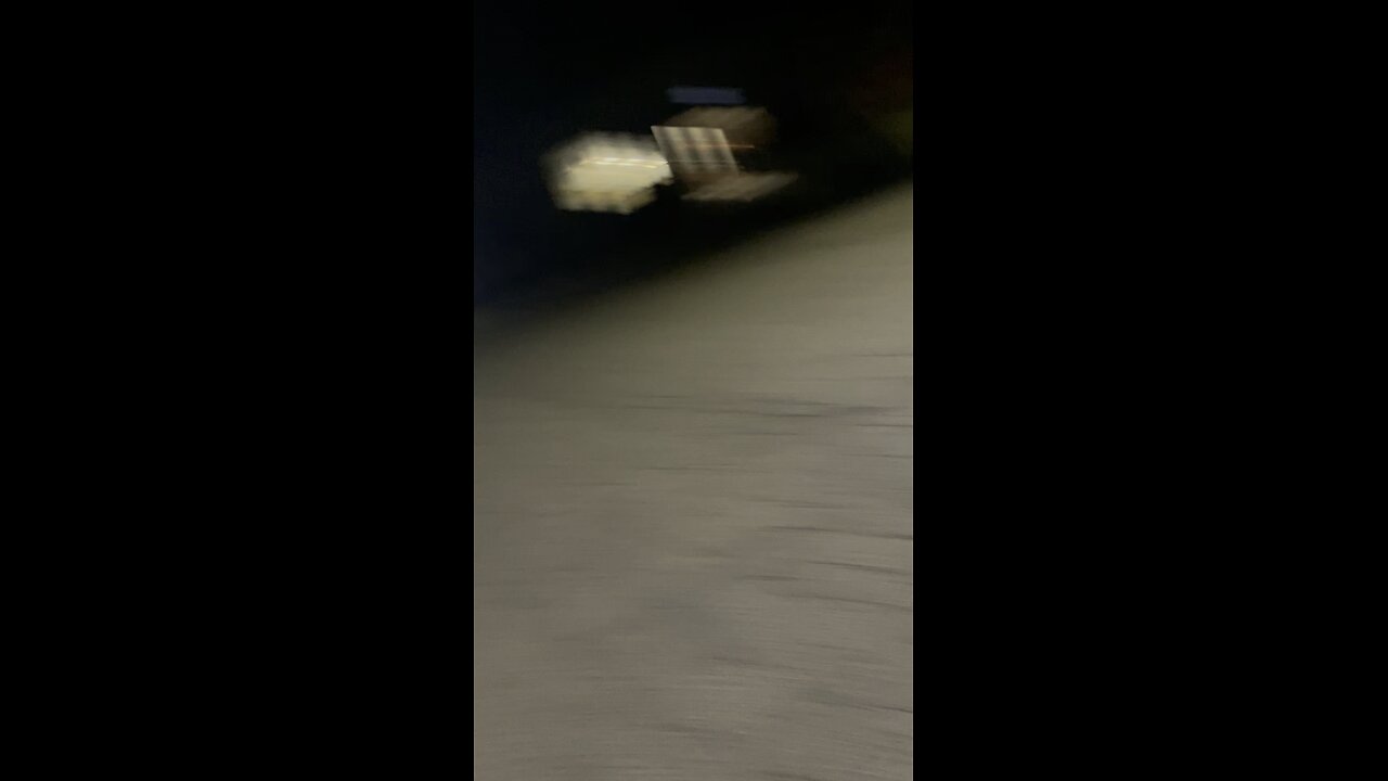 The Midnight Fox