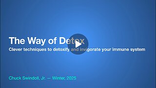 The Way of Detox [Chuck Swindoll Jr]