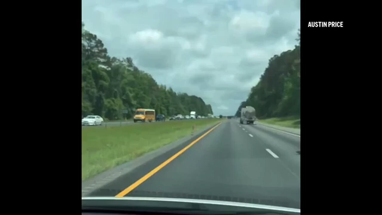Runaway kangaroo shuts down traffic in Alabama