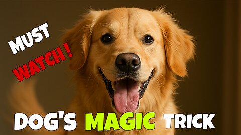 Smartest Dog Ever? Watch This Puppy’s Genius Trick Blow Your Mind! 🧠🐶