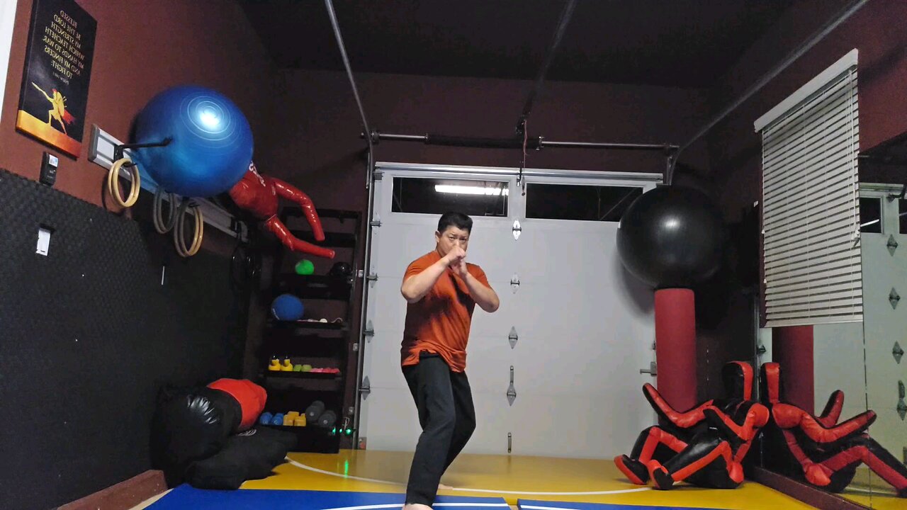WTD 2 Step Kick Combination 66