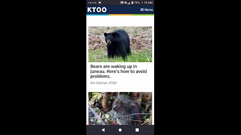 Fairbanks! What's going on? (04/29/2025) part 1/2