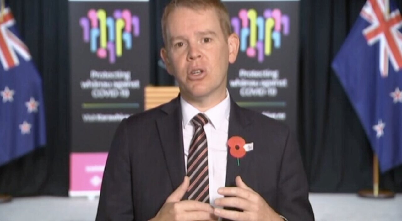 Hipkins Agreed with Hatchard on Excess Deaths—But Misled Us on the Cause.