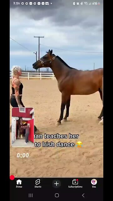 Horses 😍 Performing Dresaage & Getting Jiggy With It! 🥰😄