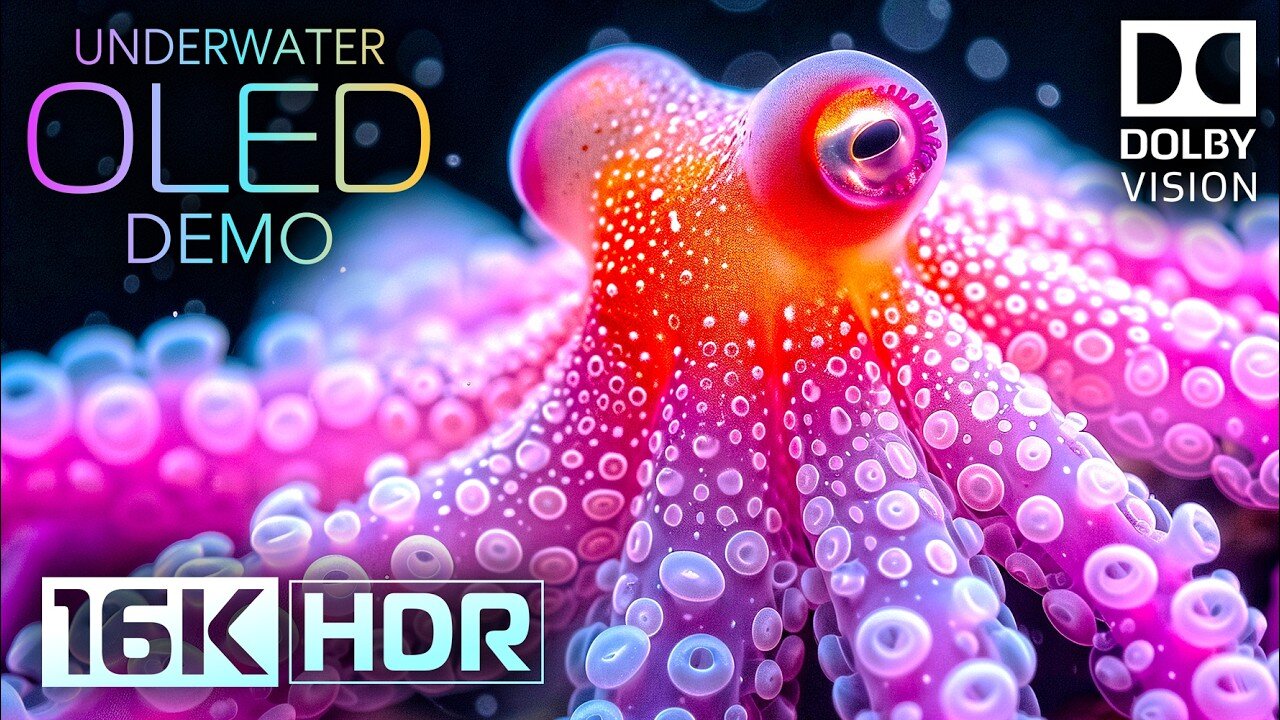 Underwater World