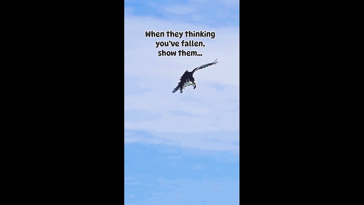inspirational quotes