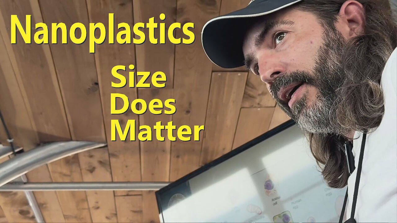 Nanoplastics - Size Does Matter