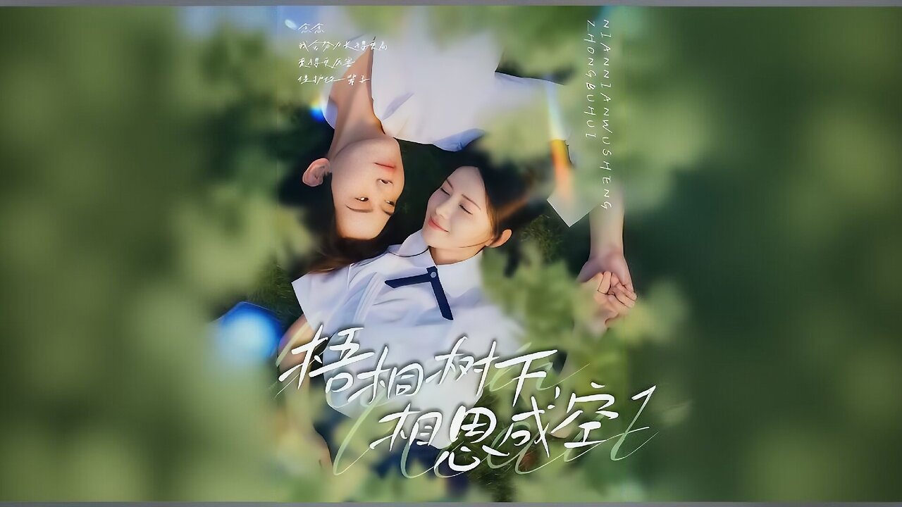 *When Our Love Bloomed | Beneath The Paulownia Tree, Longing Turns To Nothing | 梧桐树下,相思成空*